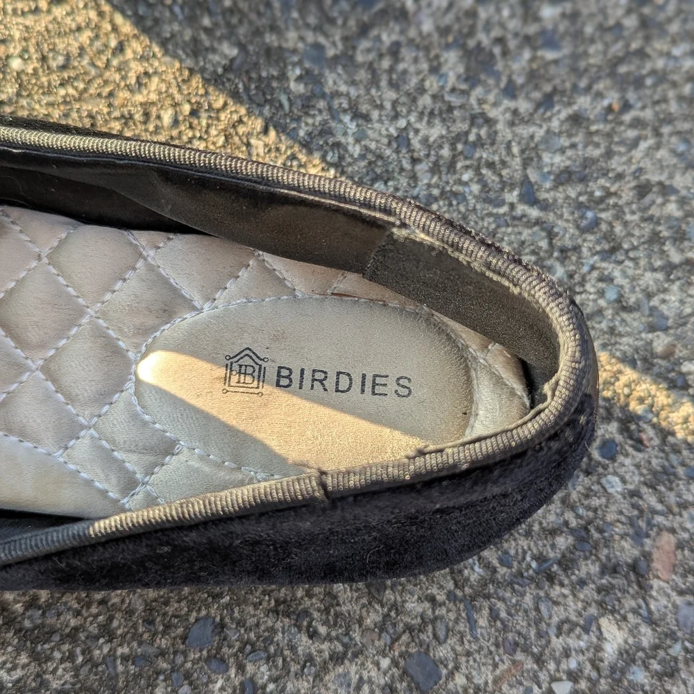 Birdies starling black